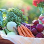 Seniors Face $213B In Cuts To SNAP, Scrapping Of CSFP Food Program
