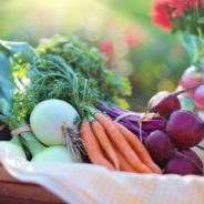 Seniors Face $213B In Cuts To SNAP, Scrapping Of CSFP Food Program